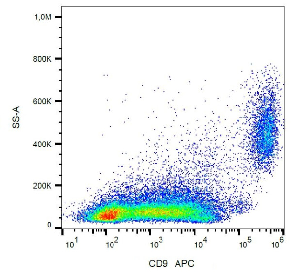 Anti-CD9, clone EM-04 (APC)