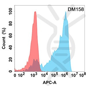 Anti-AXL antibody(DM158), Rabbit mAb