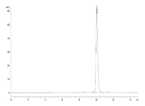 IL-1F10/IL-38, His, Human