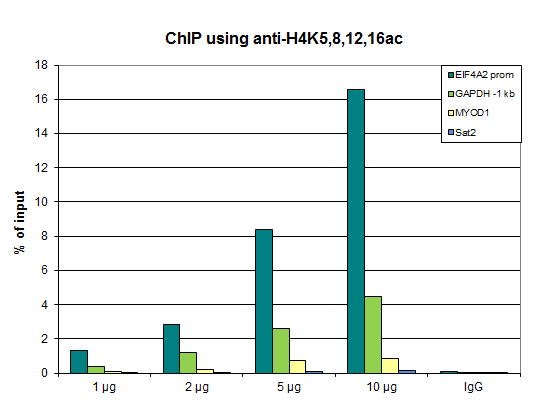 Anti-H4K5,8,12,16ac