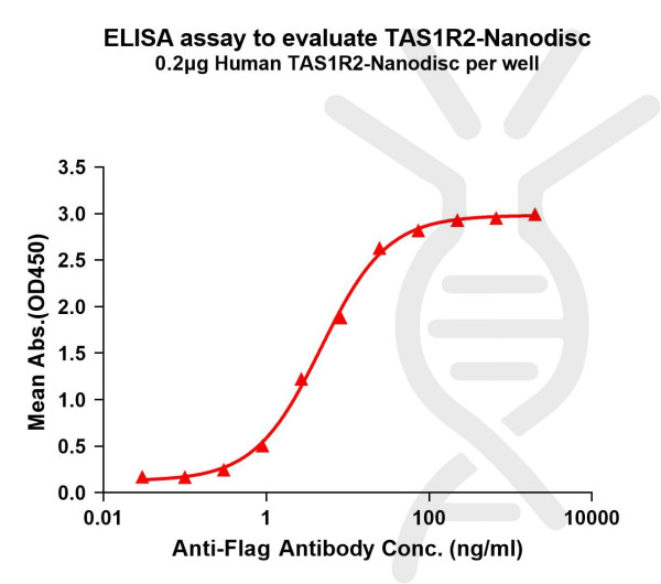 TAS1R2 (human) full length protein-synthetic nanodisc