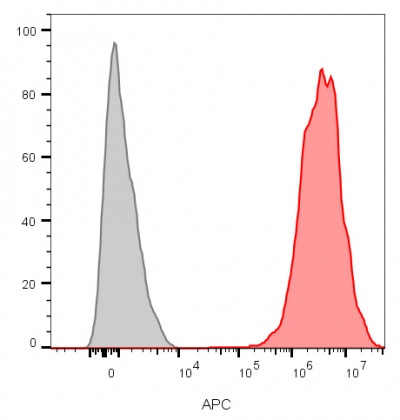 Anti-CD9 (TSPAN29) (Motility-Related Protein-1), clone CD9/1631