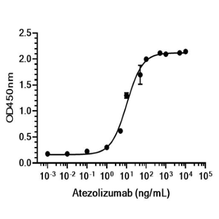 Anti-PD-L1 Antibody (Atezolizumab)