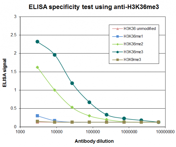 Anti-H3K36me3