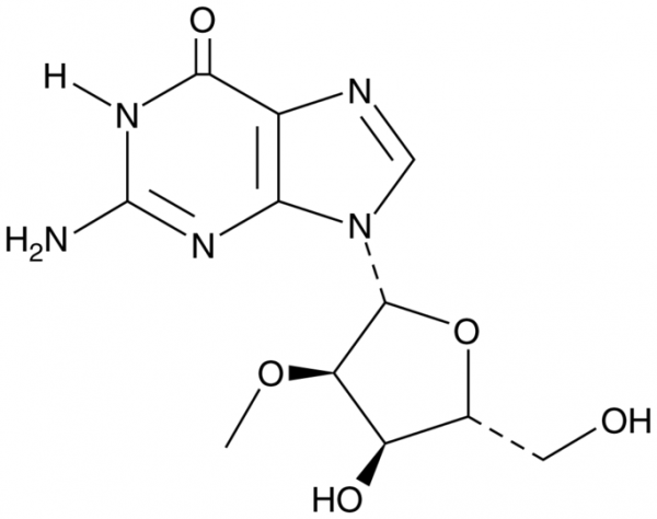 2&#039;-O-Methylguanosine