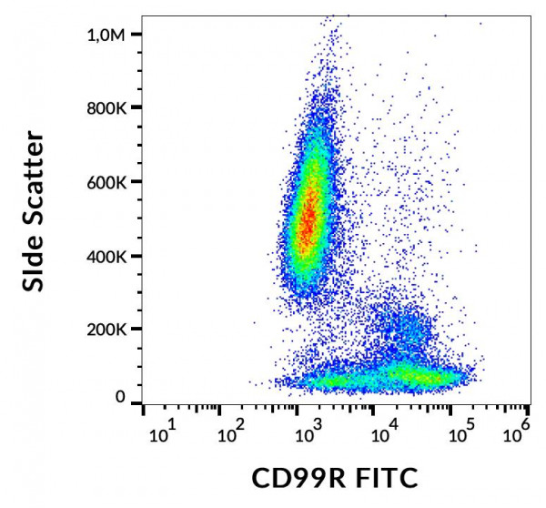 Anti-CD99R, clone MEM-131 (FITC)
