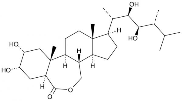 Epibrassinolide