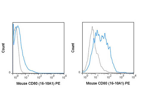 Anti-CD80 (Armenian Hamster) Phycoerythrin Conjugated, clone 16-10A1