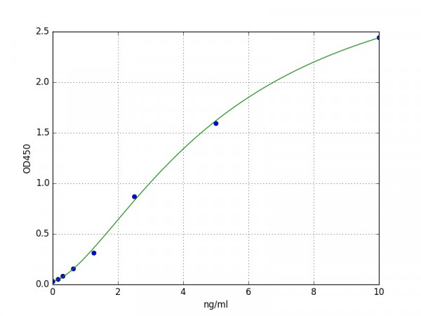 Human DUOX2 / Dual oxidase 2 ELISA Kit