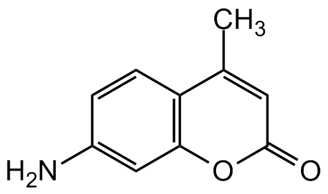 7-Amino-4-methylcoumarin