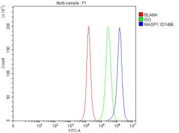 Anti-MASP1 / Mannan-binding lectin serine protease 1