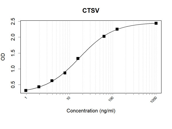 Anti-Human CTSV Antibody Pair