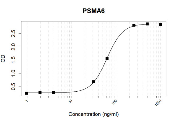Anti-Human PSMA6 Antibody Pair