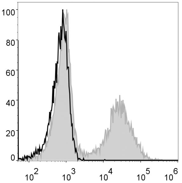 Anti-MHC II (I-A/I-E) (mouse), clone M5/114, GenieFluor 488-conjugated