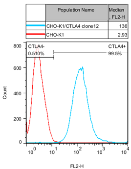 CHO-K1/CTLA4 Stable Cell Line