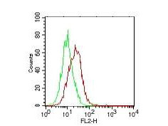 Anti-Human IL-17E Biotin Conjugated, clone 11K8B1, Biotin Conjugated