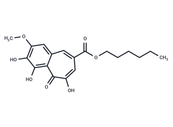 CU-CPT22
