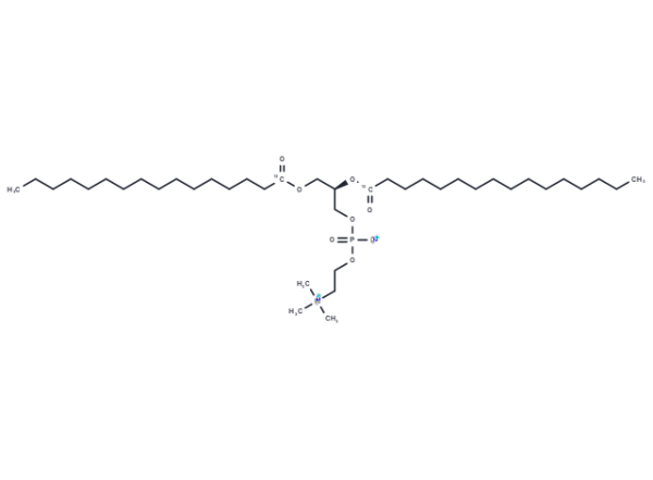 1,2-Dipalmitoyl-13C-sn-glycero-3-PC