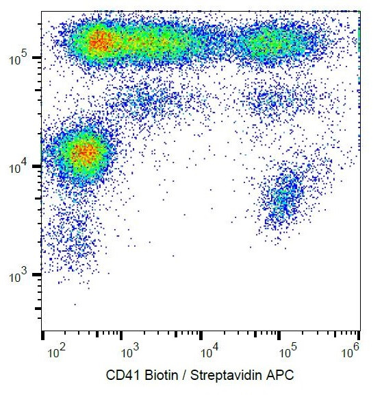 Anti-CD41, clone MEM-06 (Biotin)