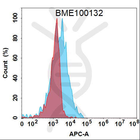 Anti-IL20(fletikumab biosimilar) mAb