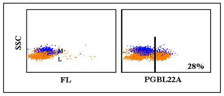 Anti-TCR1 delta chain-specific (swine), clone PGBL22A
