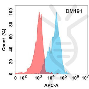 Anti-CD70 antibody(DM191), Rabbit mAb