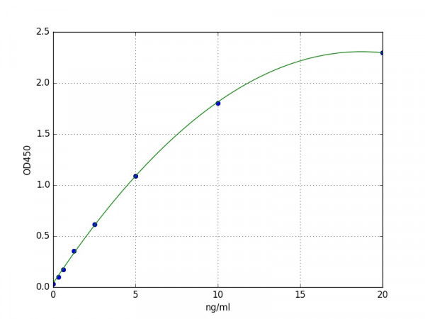 Human Pyruvate Dehydrogenase Phosphatase / PDP ELISA Kit