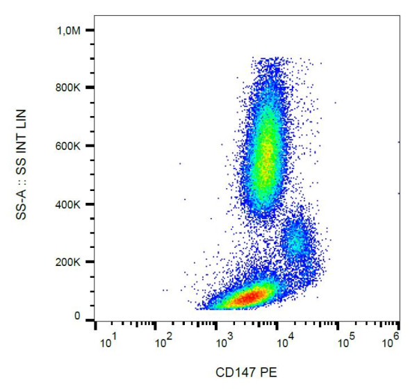 Anti-CD147, clone MEM-M6/1 (PE)