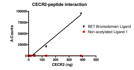 CECR2 Inhibitor Screening Assay Kit