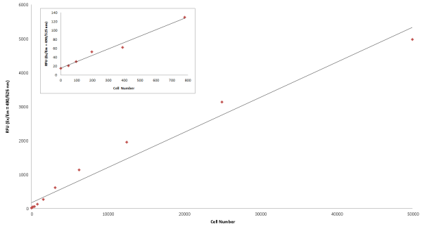 Cell Meter(TM) Cell Proliferation Assay Kit