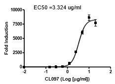 TLR8/ NF-kappab Reporter - HEK293 Recombinant Cell Line