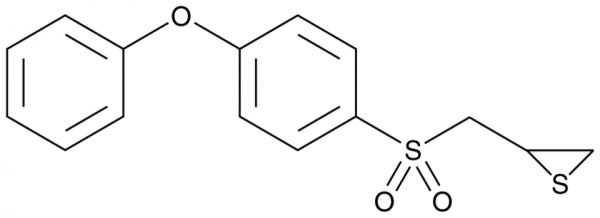 SB-3CT