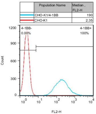 CHO-K1/4-1BB Stable Cell Line