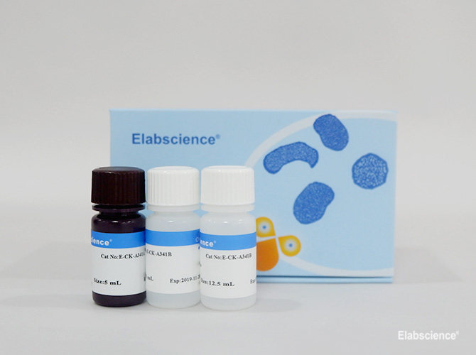 MTT Assay Kit (Cell Proliferation) | Elabscience | Biomol.com