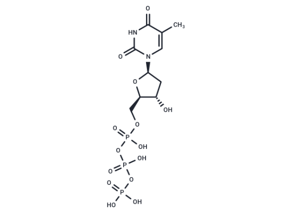 Deoxythymidine-5'-triphosphate