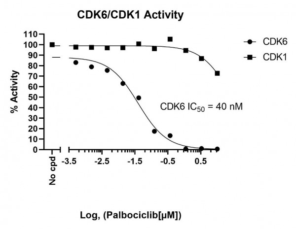 CDK6/CyclinD3 Kinase Assay Kit