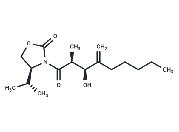 LMT-28
