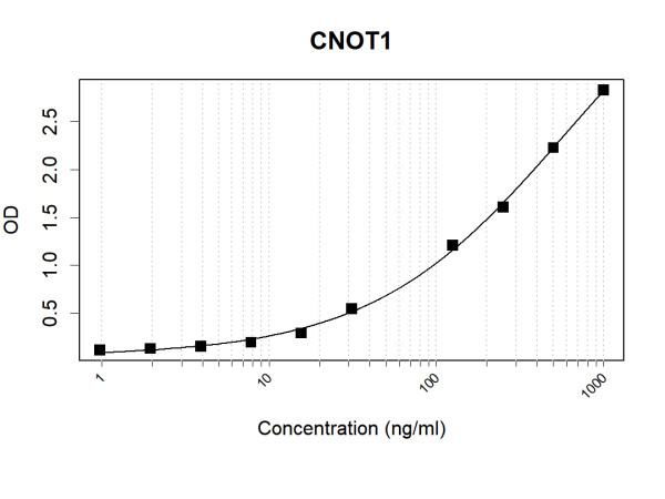 Anti-Human CNOT1 Antibody Pair