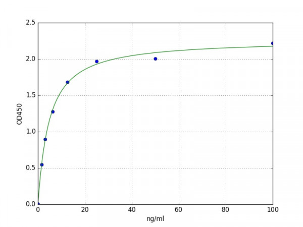 Human Topoisomerase I ELISA Kit