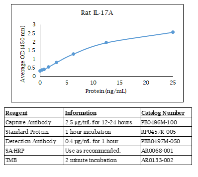 Interleukin-17A (IL-17A) (rat) Do-It-Yourself ELISA