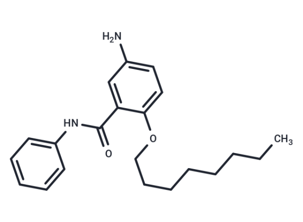 Benzanilide, 5-amino-2-(octyloxy)-