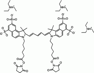 Cyanine 5.5 bissuccinimidyl ester [equivalent to Cy5.5(R) bisNHS ester]