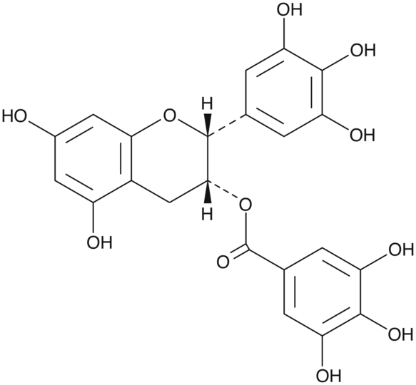 (-)-Epigallocatechin Gallate