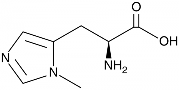 3-Methyl-L-histidine