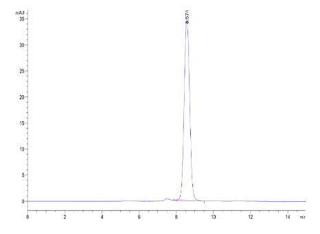 Galectin 1 hFc Chimera, Mouse