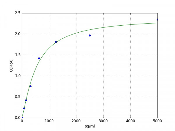 Human CTSA / Cathepsin A ELISA Kit