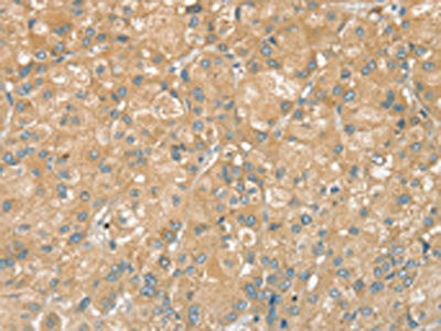 Anti-PTPN7