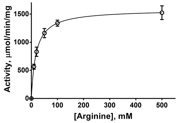 Arginase I (human) (rec.) (highly active)