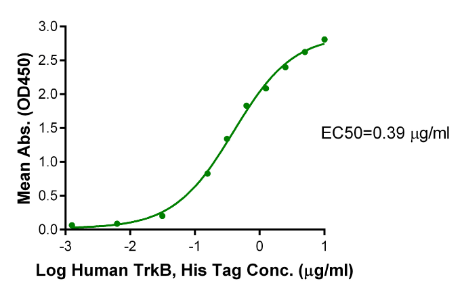 BDNF, Human/Mouse/Rat