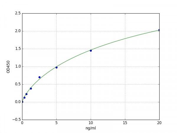 Human P2RX7 / P2X purinoceptor 7 ELISA Kit